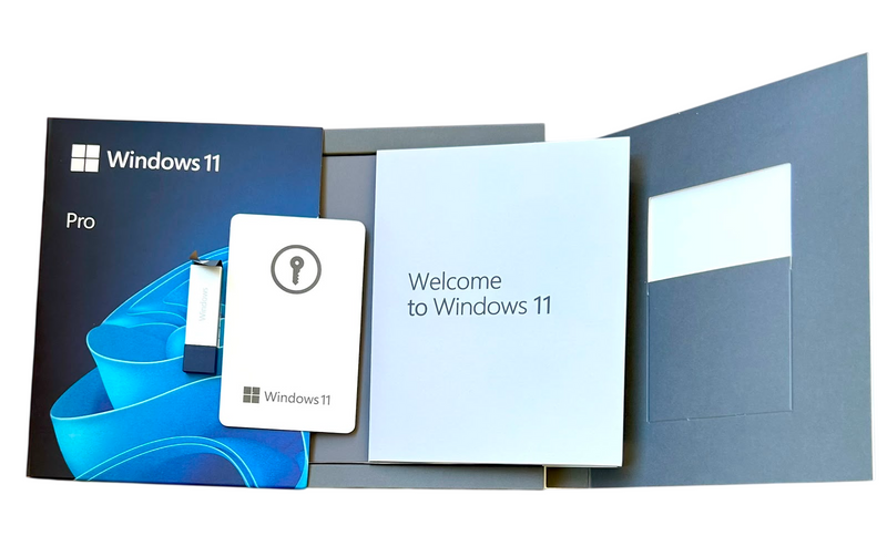 Microsoft Windows 11 PRO FPP USB Inglés 64Bits Pack (HAV-00162)