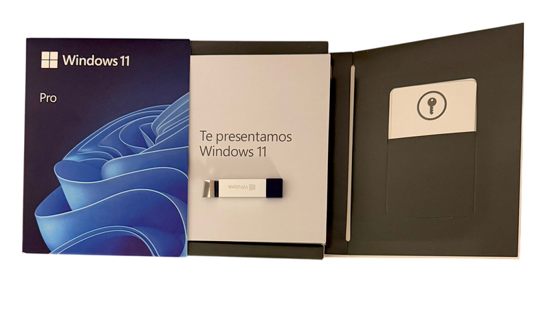 Windows 11 Pro FPP Caja con USB Español HAV-00212 – IT Mercat
