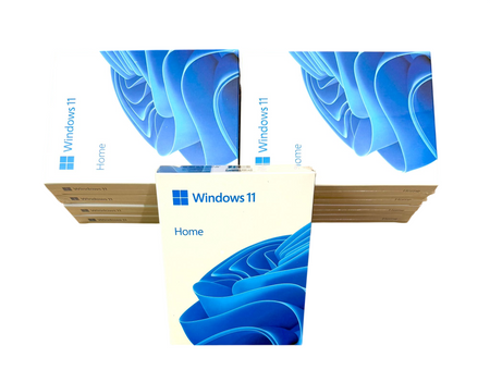 Lote 10xMicrosoft Windows 11 Home USB FPP Inglés 64Bits Pack (HAJ-00111)
